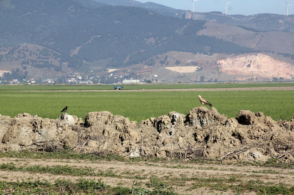 Göç yolu üzerindeki Hatay'ı 233 kuş tipi ziyaret etti 75 5bJ2QeKilkakS6RFLwPHJw