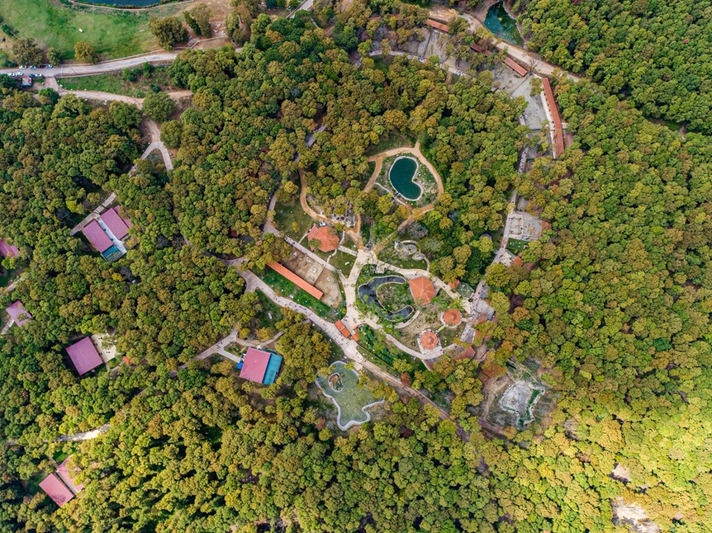 Avrupa'n�n en b�y�k do�al ya�am merkezi Ormanya