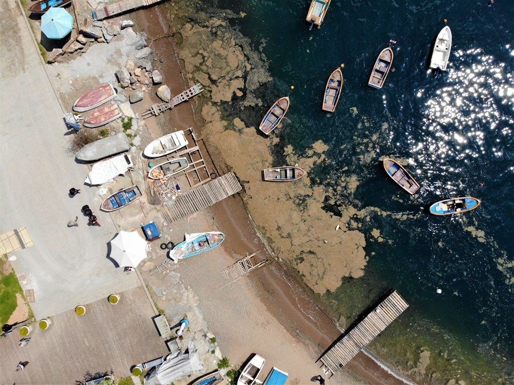 "marmara 5 yılda temizlenebilir" 15 5bqq1coegeo hom47fporg