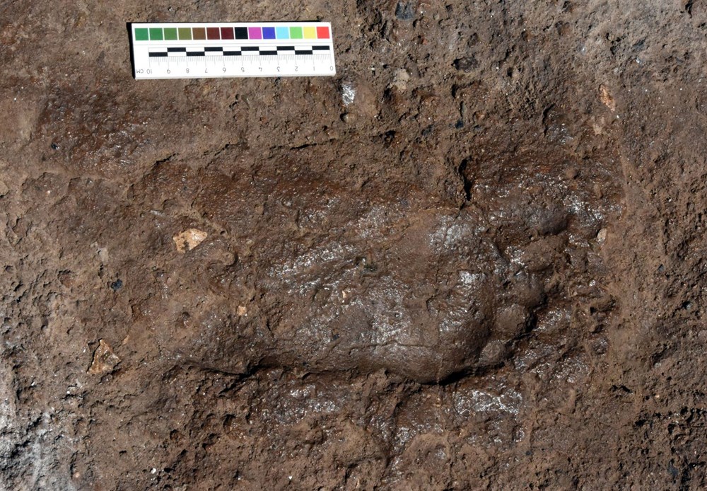 Следы древнейших людей обнаружены археологами в ответ. Древнейших следов обнаружили археологию в. Следы древнейших людей обнаружены археологами в ответ. Следы древнейших людей обнаружены археологами в ответ. Отпечатки древних людей.