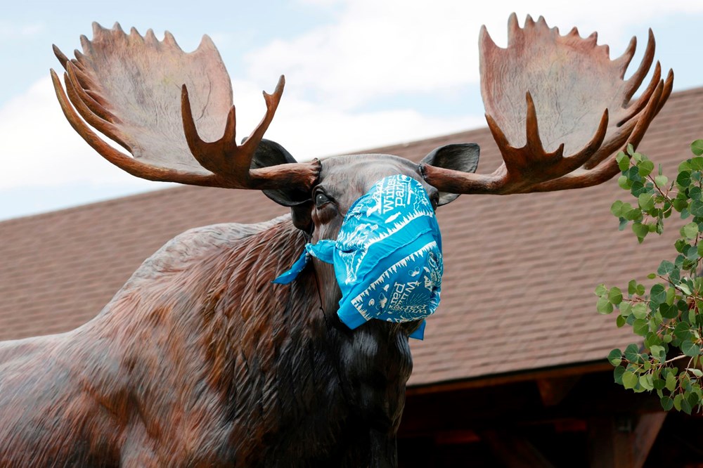 Corona virüs SARS kadar ölümcül iddiası (Covid-19 nedeniyle gerçekte ne kadar insan öldü?) - 12