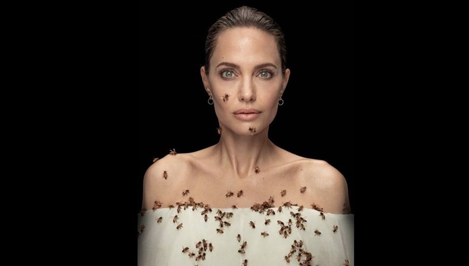 Angelina Jolie ilk arıcı kadınlara diplomalarını verdi - 1
