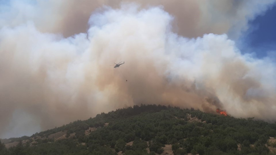 Gökçeada, Osmaniye ve Kahramanmaraş'ta orman yangını - 2