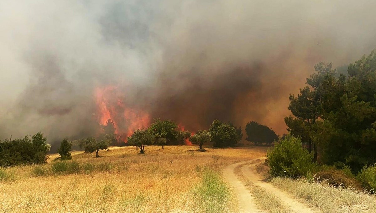 Manisa ve Muğla'da orman yangını