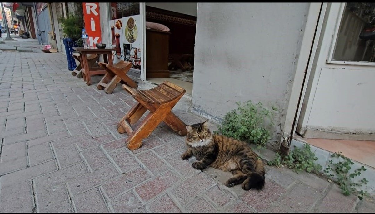 5jqKHrPjukycgktSoK3DRA.jpg