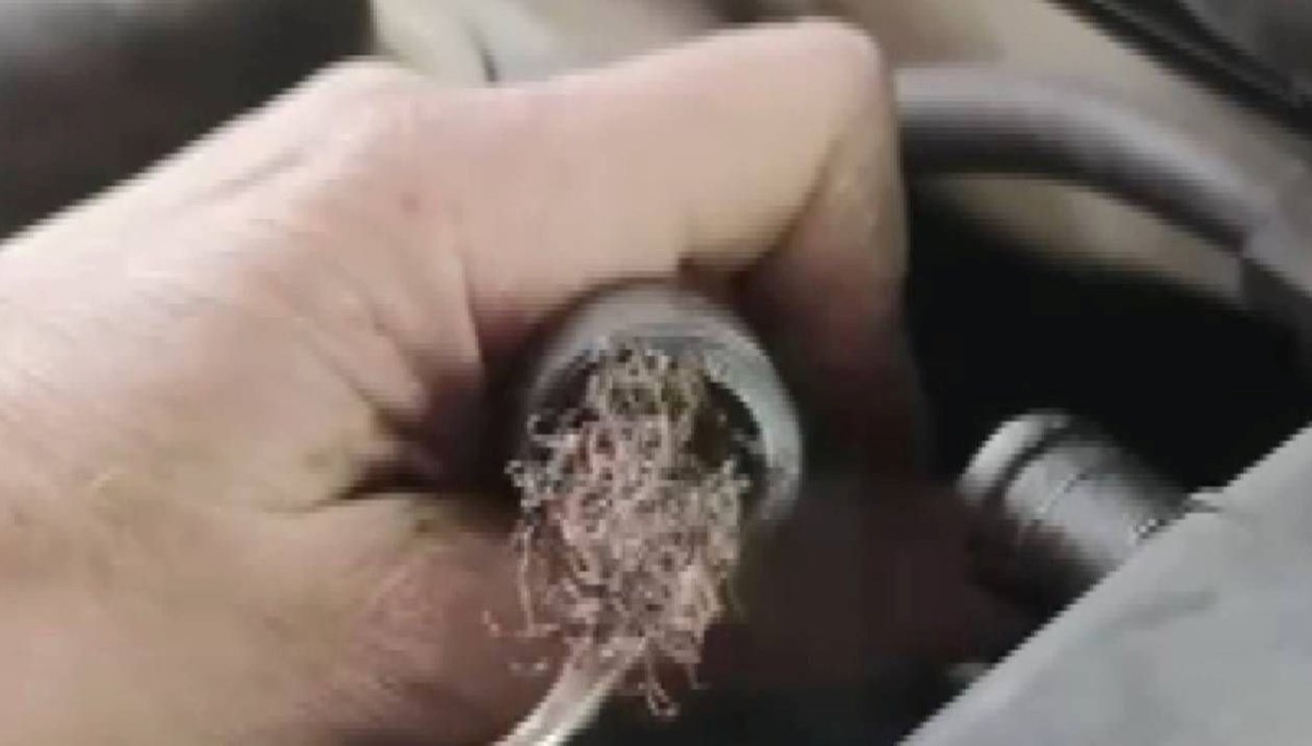 Otomobilin motorundan çıktı Otomobilin motorundan çıktı