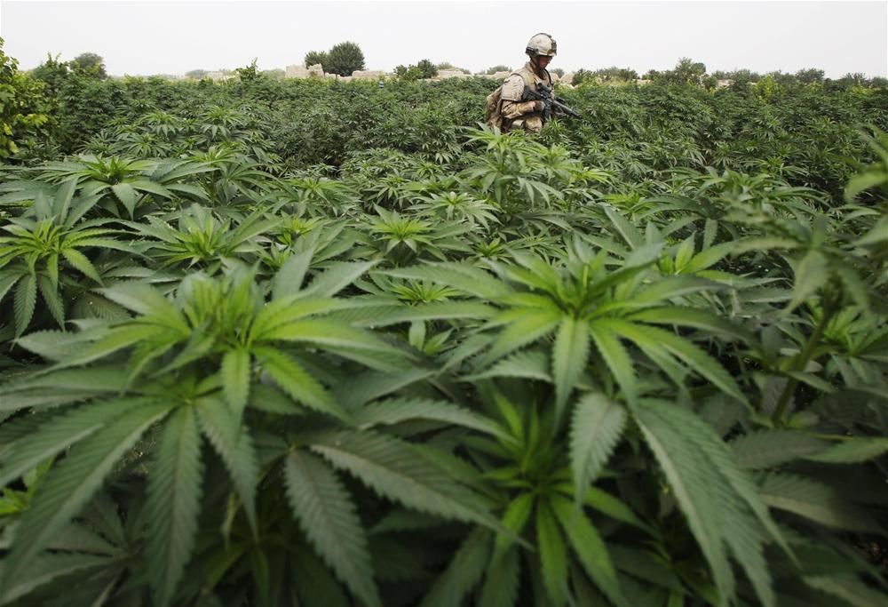 Como dejar la marihuana Como dejar la marihuana