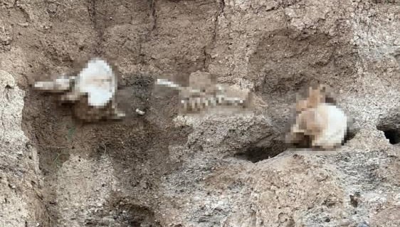 Yozgat Boğazlıyan'da insan kafatası bulundu