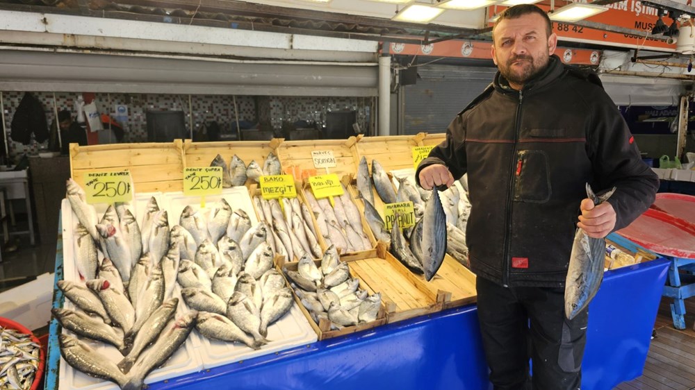 Hamsi, sardalya ve levrek var: Balık tezgahları boş kalmayacak 75 5mTvKuPEJESD5uRFbfzktQ