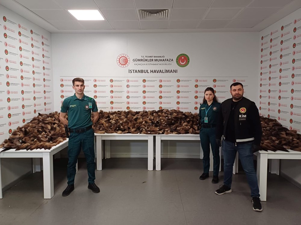 İstanbul Havalimanı’nda 10 bin 300 adet tilki kuyruğu ele
geçirildi - 1