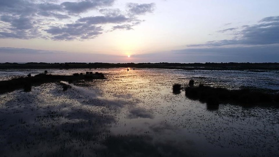 Kızılırmak Deltası Kuş Cenneti UNESCO yolunda - 2