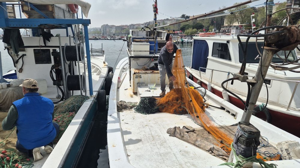 Marmara Denizi'nde müsilaj: Balık etine ziyan veriyor mu? 75