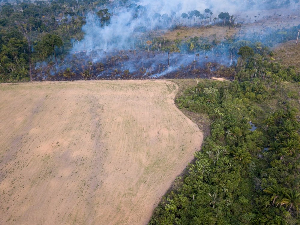 İklim krizi: Amazon yağmur ormanları kritik eşiğe yaklaşıyor - 4