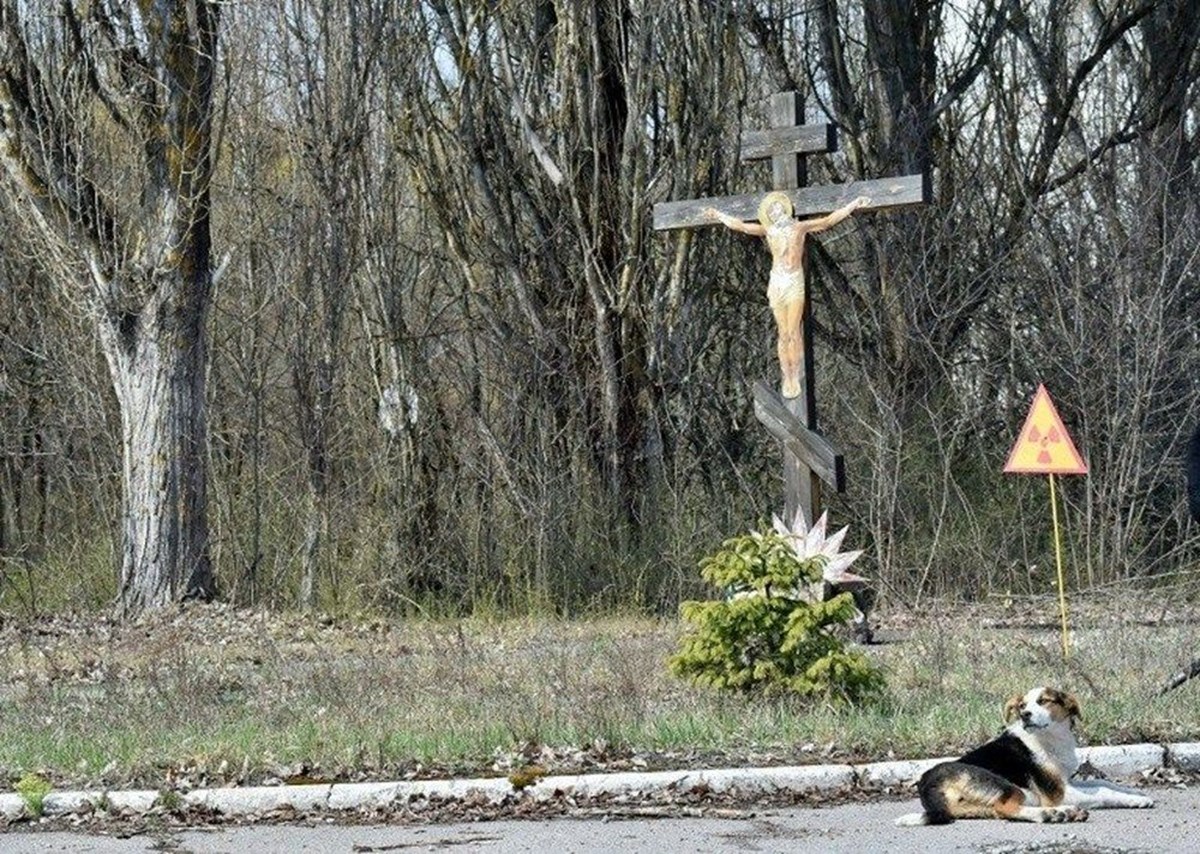 Радиация в чернобыле сейчас фото