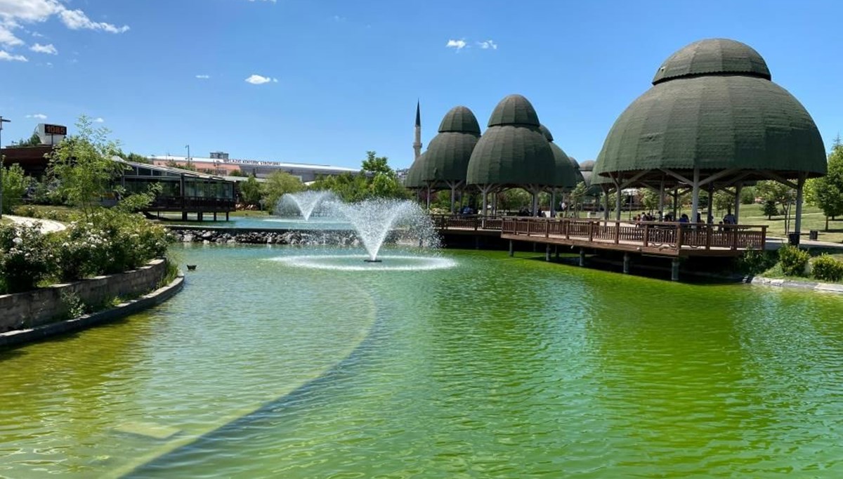 Parktaki süs havuzunda acı ölüm Parktaki süs havuzunda acı ölüm