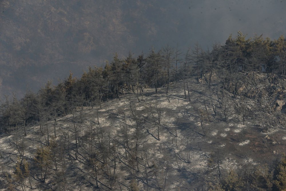 Yangın felaketinde son durum: "Gökyüzü mavi değil, güneşin bile rengi değişti" - 21
