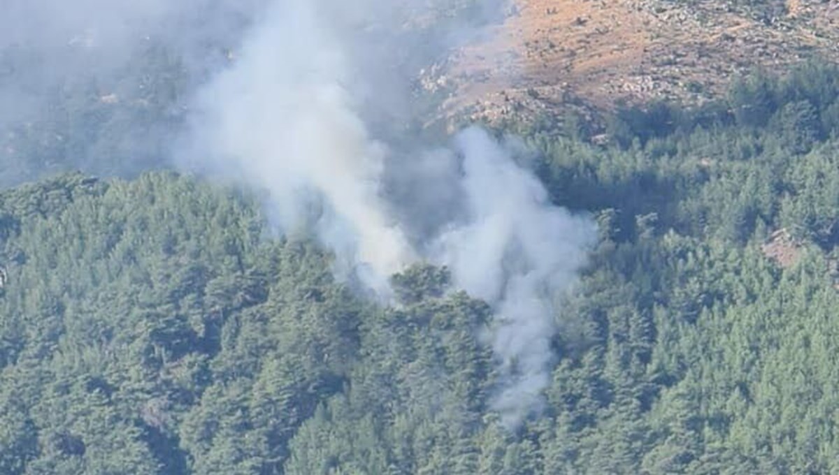 Muğla'da orman yangını Muğla'da orman yangını