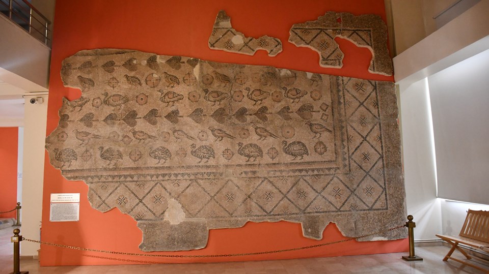 Ahır tabanında bulunan mozaik Sivas Arkeoloji Müzesi'nde - 1