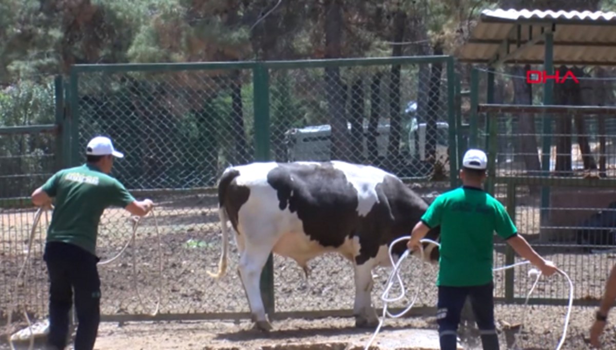Kurban yakalama timi hazır