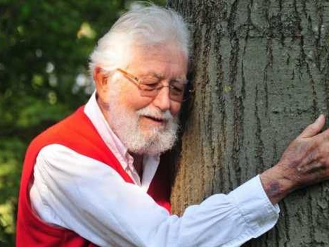 tema vakfi nin kurucusu hayrettin karaca kimdir ntv