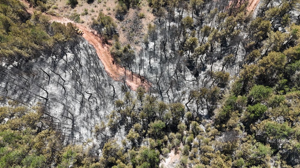 Tam 54 saat sürdü! Karabük'te yanan alanlar havadan görüntülendi - 11