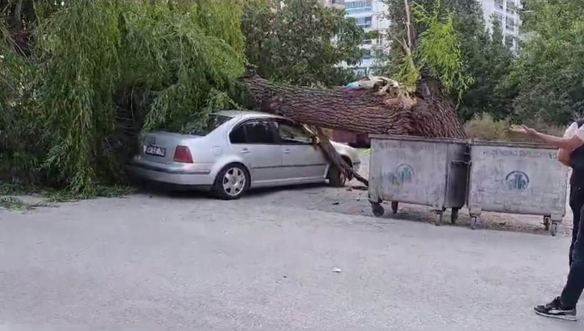 Ankara'da kuvvetli rüzgar; ağaç devrildi, 4 araç hasar gördü