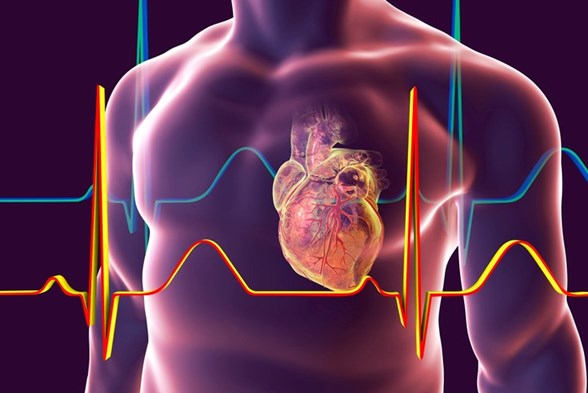 kardiyak aritmi belirtisi temel kalp sağlığı ders planları