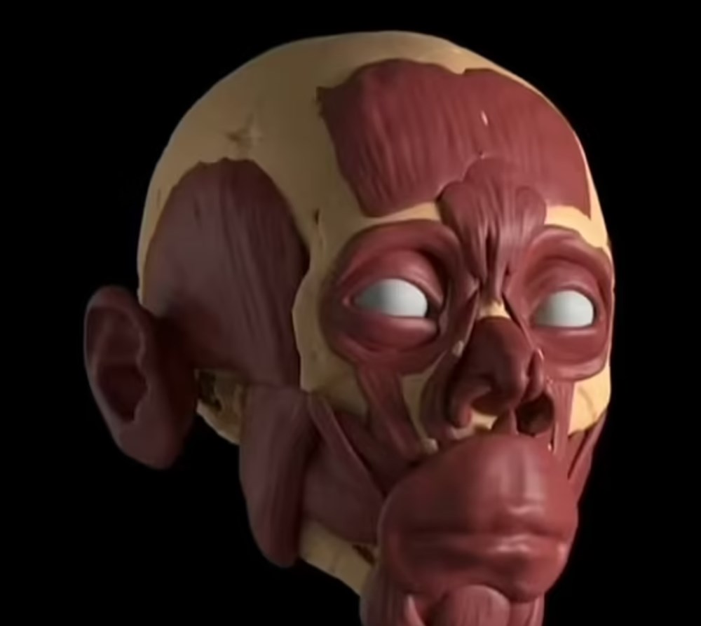 Dünyada ilk kez: 30 bin yıl önce ölen çocuğun yüzü ortaya çıkarıldı - 4