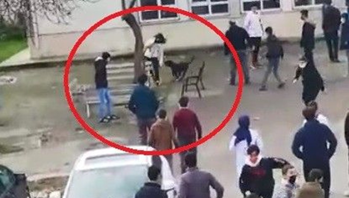 Lisenin bahçesine giren pitbull 5 öğrenciyi yaraladıtür