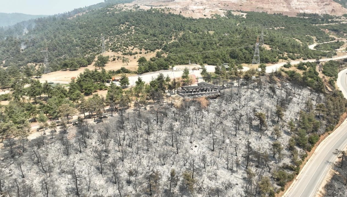 Bursa'daki orman yangınında acı tablo