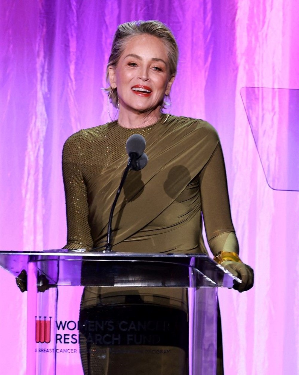 Sharon Stone parasını batan bankaya yatırdığını açıkladı - 3