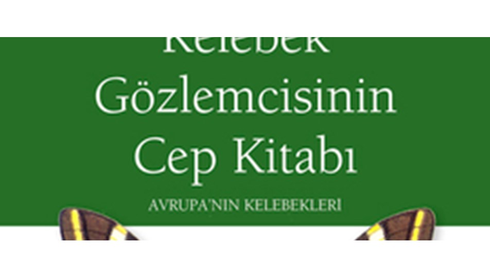 Kelebeklerin dünyasını keşfedin