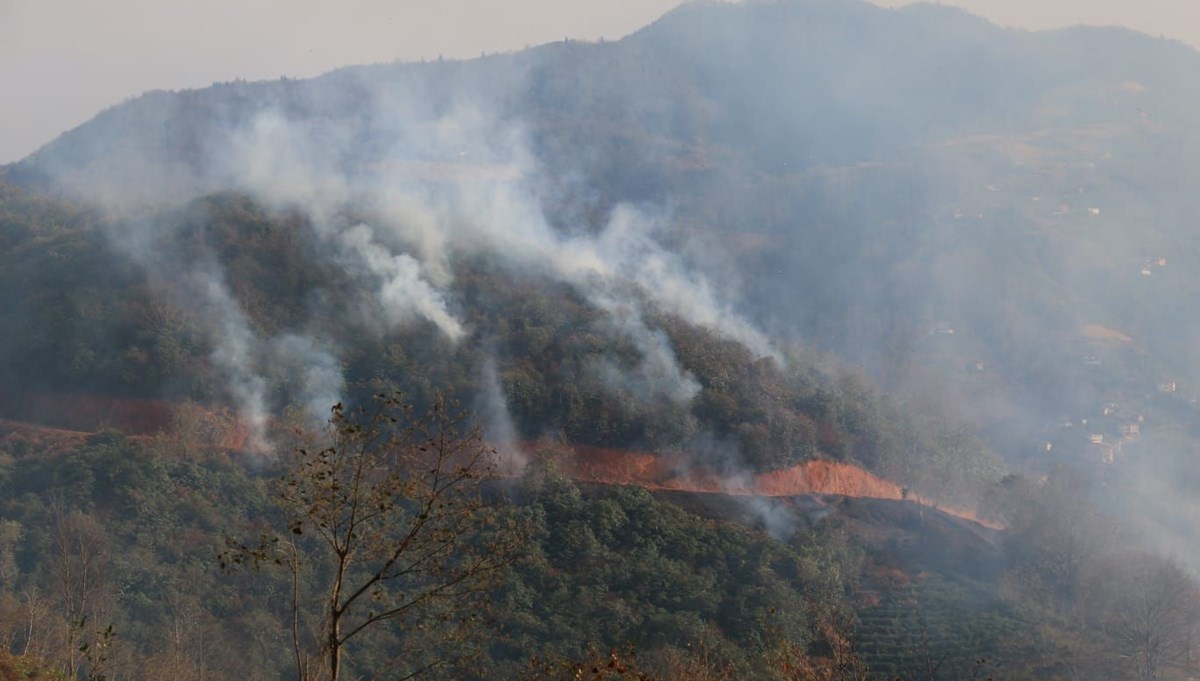 Trabzon'da orman yangını