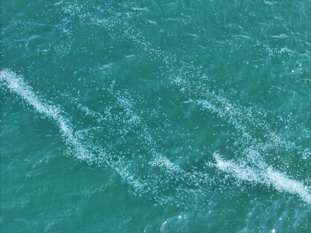 İstanbul açıklarında endişe yaratan görüntü: Sarayburnu’ndan
Bakırköy’e kadar uzanıyor - 8