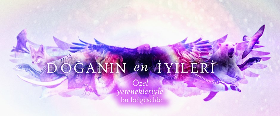 NTV Belgesel Kuşağı - Doğanın En İyileri