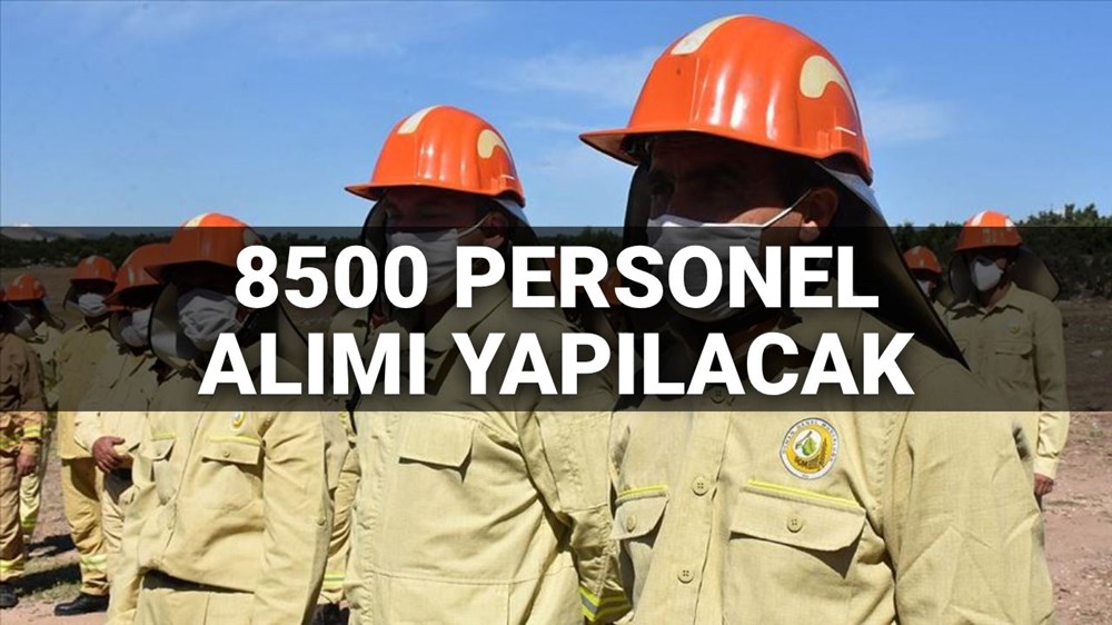 Tarım ve Orman Bakanlığı 2025 İşçi Alımı: 8500 Kişilik Kadroya Ne Zaman Kavuşulacak, Başvuru Şartları Neler Olacak? 72 69zh9kzZo0S2inRMoY3QvQ