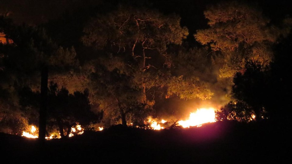Balıkesir'de orman yangını - 1