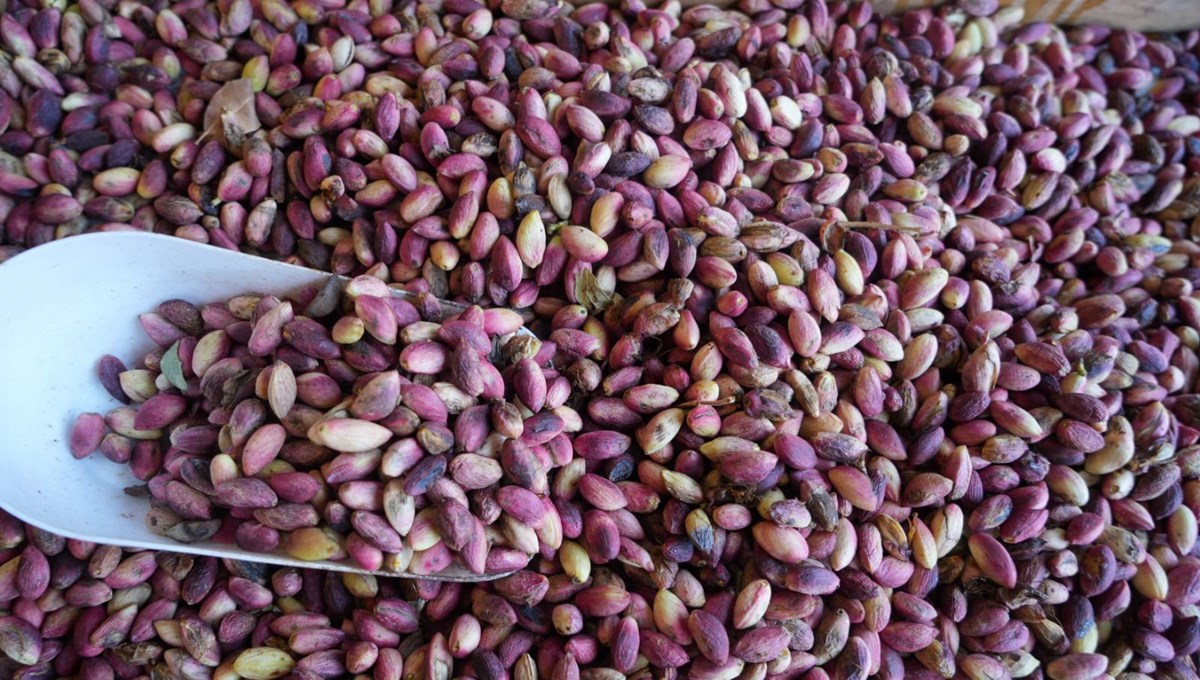 Tezgahta yerini aldı: 1 kilosu 500 TL oldu