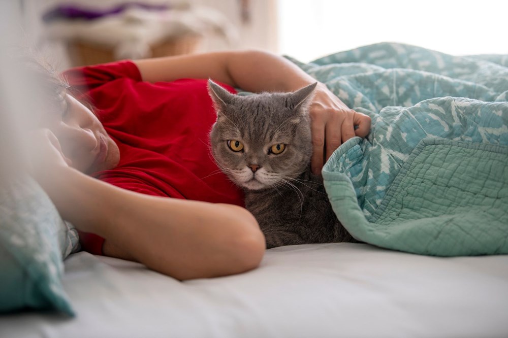 Bilim insanları “açık ilişki”den “eş bağımlılığa” kedilerle insanlar arasındaki 5 ilişki türünü ortaya koydu: Sizin kedilerle aranızda nasıl bir bağ var? - 1