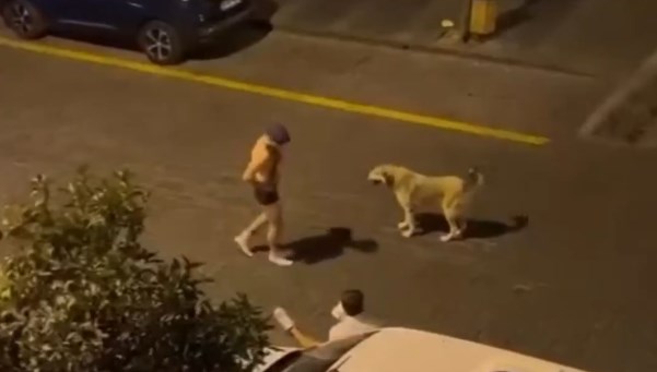 Çıplak şekilde sokak ortasındaki köpeğe tacize tutuklama