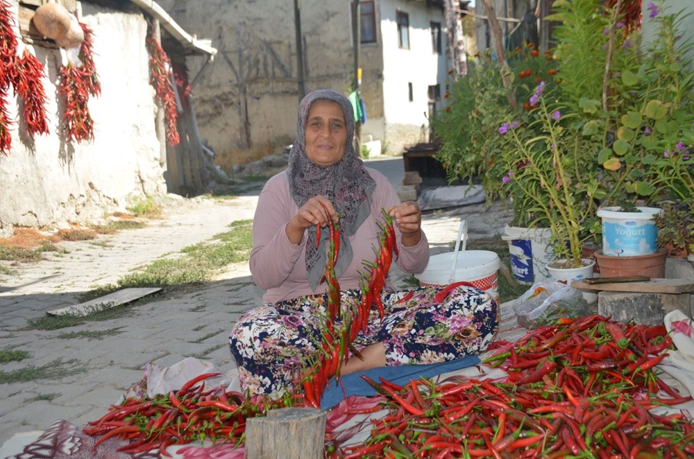 Ona "kırmızı altın" da deniyor: 160 yıldır aynı tohumdan üretiyorlar - 4