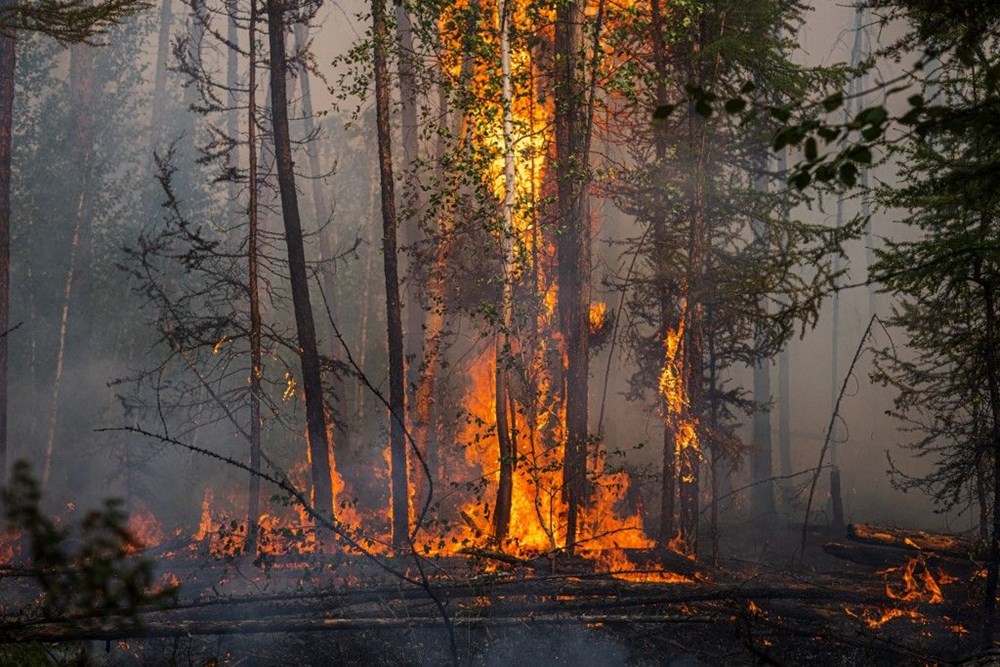 As unprecedented fire year rages on, experts warn of longer, more destructive se