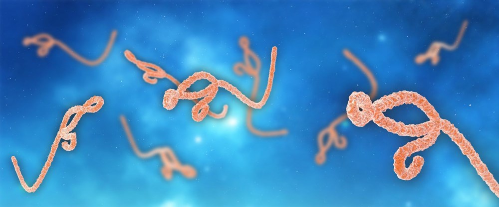 Bolivya’da insanlar
arasında yayılan yeni bir virüs türü keşfedildi: Bilim insanlarından salgın uyarısı - 8