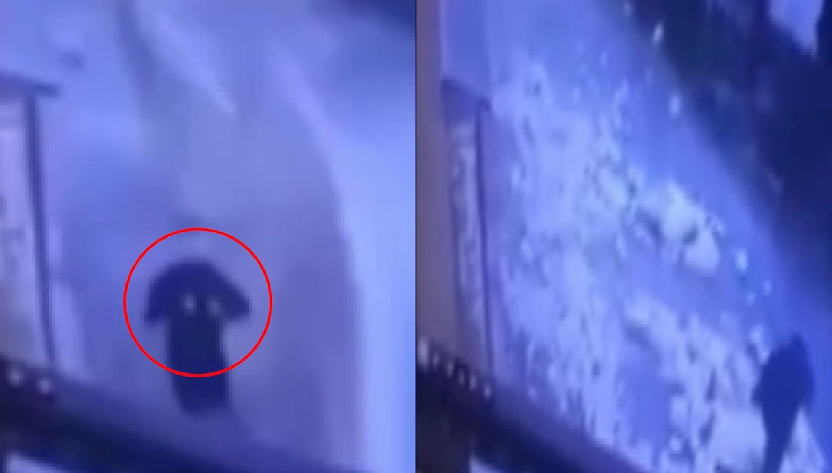 Parçaların hiçbiri isabet etmedi