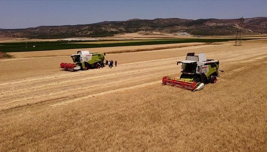 TMO'dan arpa ve yulaf satışı hazırlığı