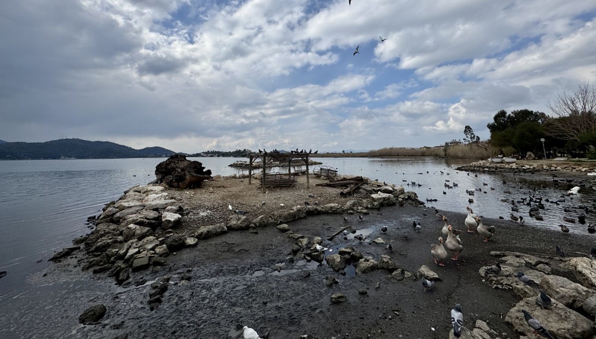 Seferihisar'dan sonra şimdi de Fethiye ve Marmaris'te 5 metre deniz çekildi: Uzmanı nedenini açıkladı