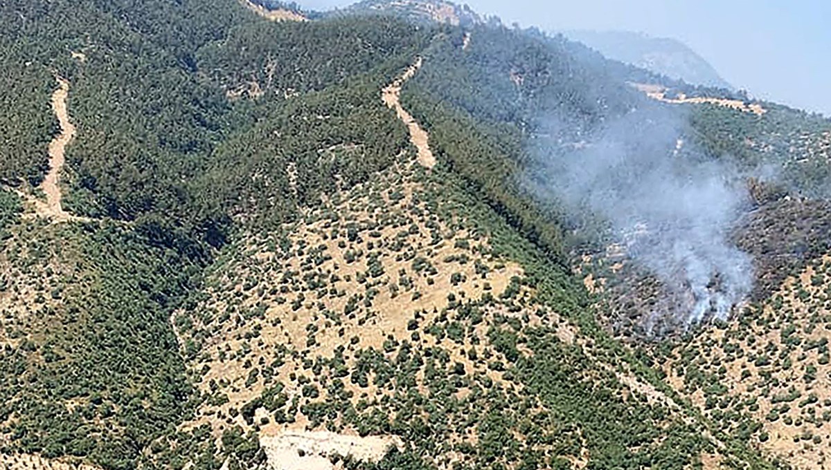Manisa'da orman yangını Manisa'da orman yangını