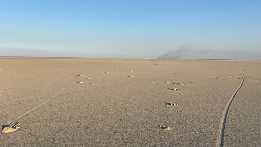 Tuz Gölü'nde toplu flamingo ölümleri: Soruşturma başlatıldı - 8