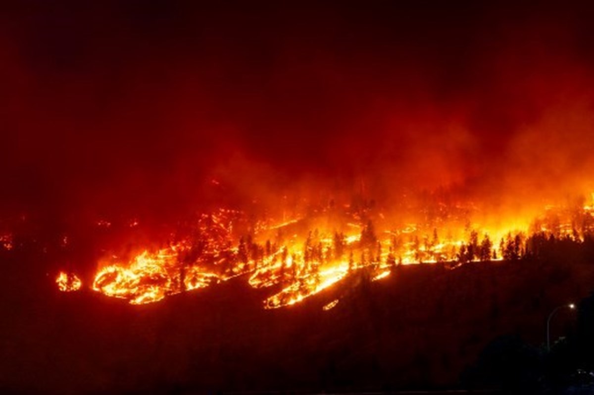 Foto: AFP Foto: AFP