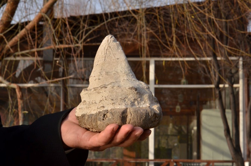 Elbistan’da köpekbalığının atası sayılan 20 milyon yıllık megalodon dişi bulundu - 5